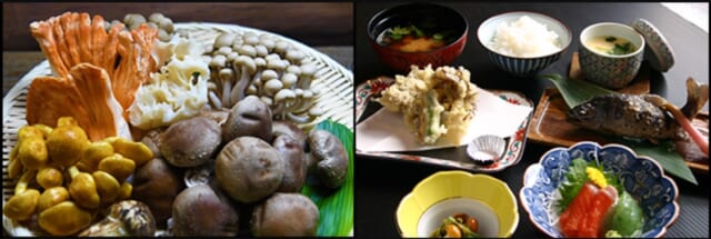 環湖荘お料理