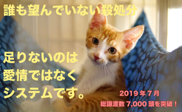 slide01