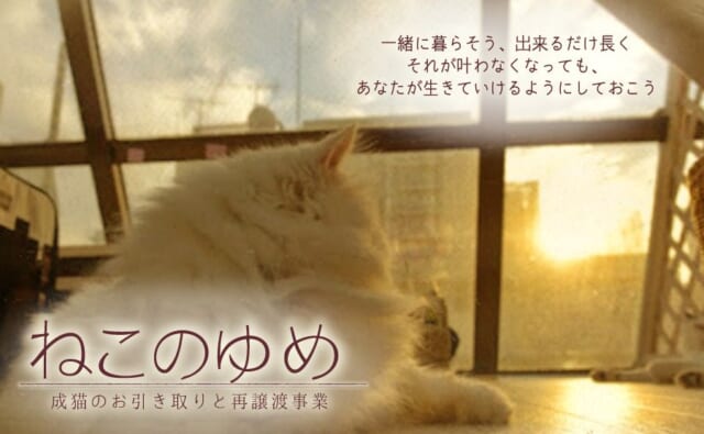 slide02