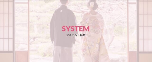 料金：シンプルなプラン1種類のみ