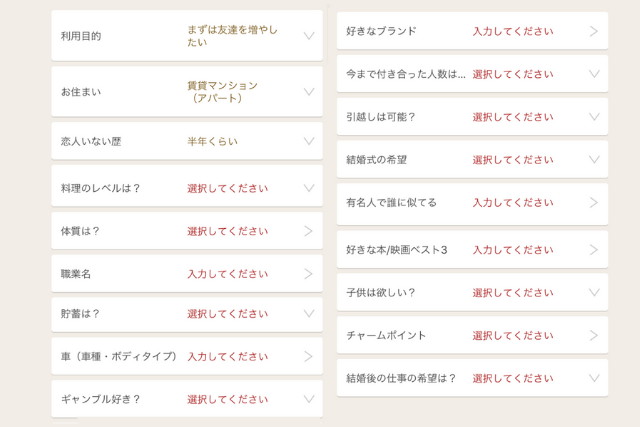 マリッシュ 使い方 特別プロフィールの項目