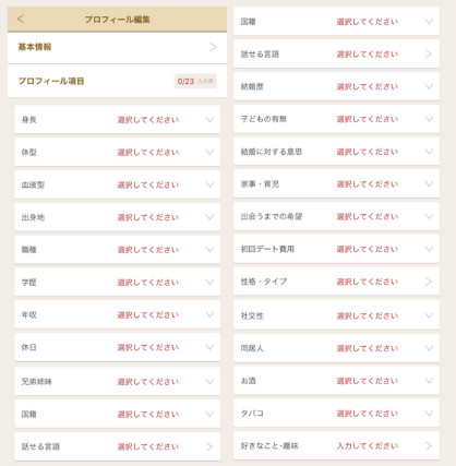 マリッシュ 使い方 プロフィール23項目