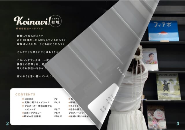 Koinavi!操作