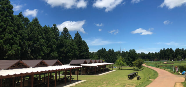 BBQ施設