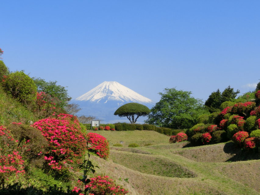 山中城跡公園
