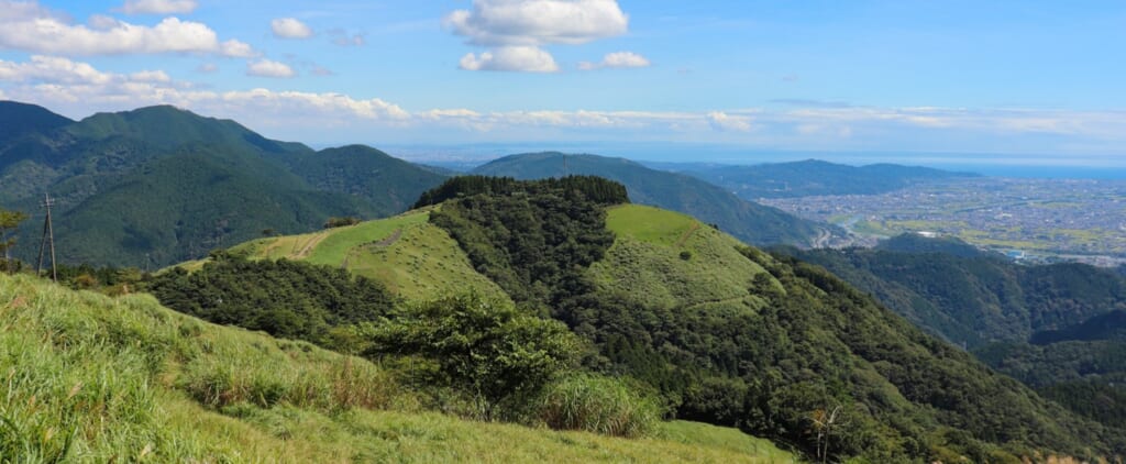 大野山