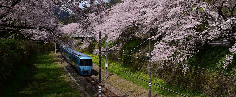 山北町の景色